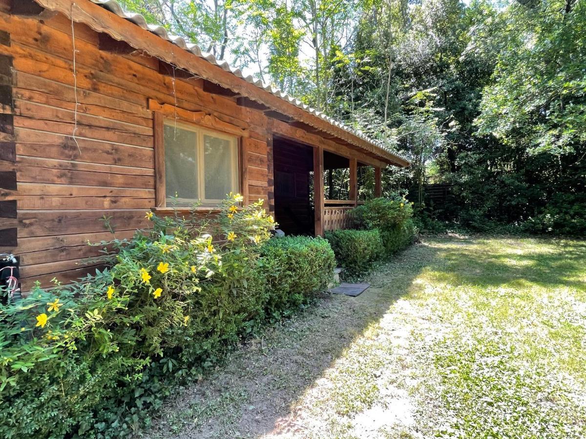 Bastidette Florestane Saint-Rémy-de-Provence Екстериор снимка