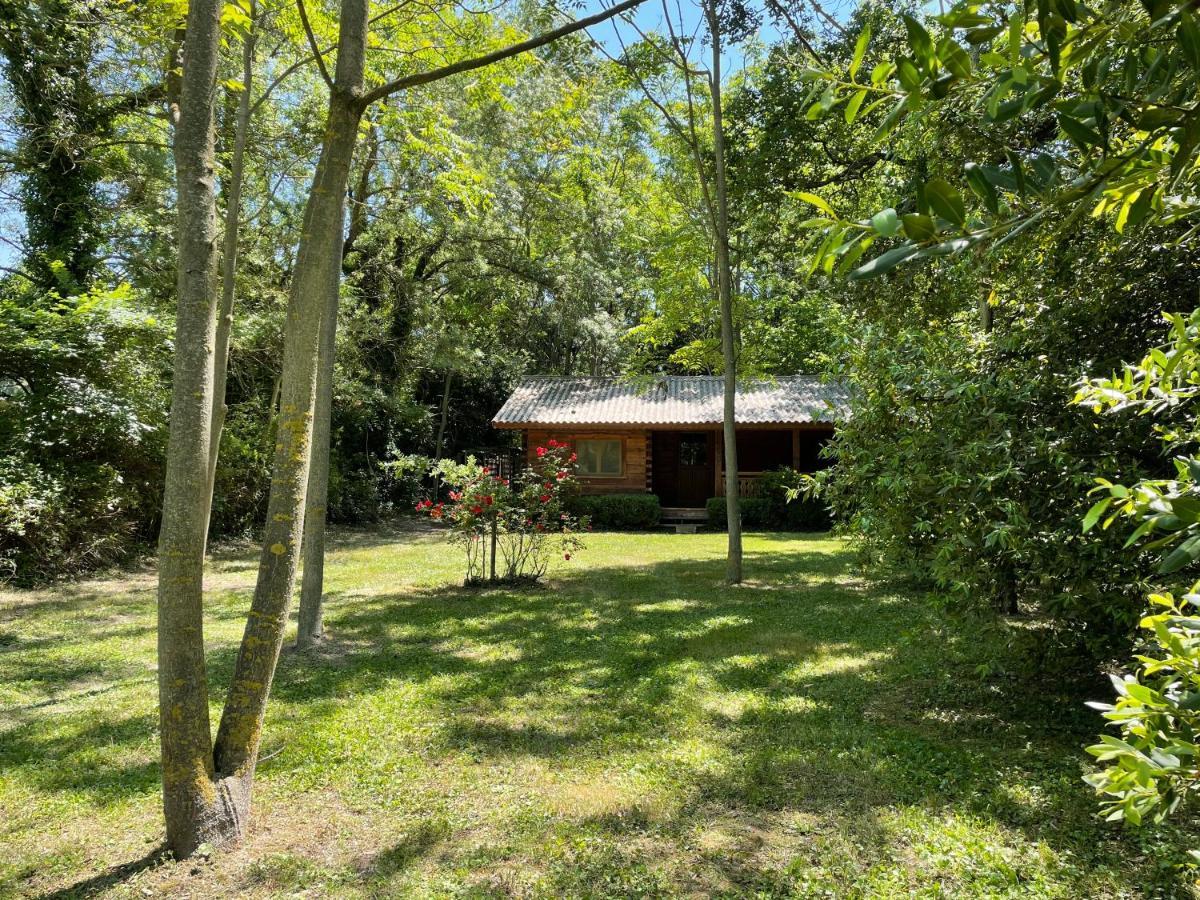Bastidette Florestane Saint-Rémy-de-Provence Екстериор снимка