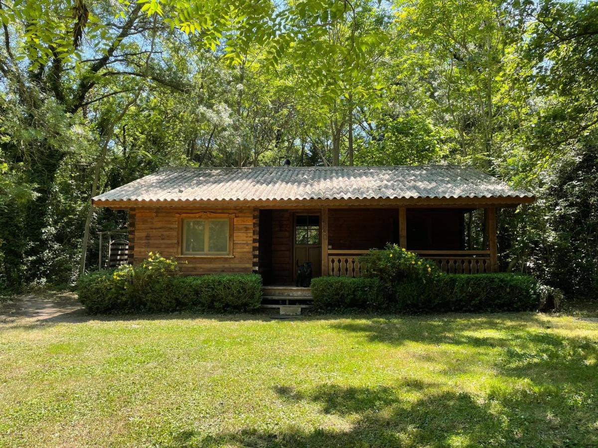Bastidette Florestane Saint-Rémy-de-Provence Екстериор снимка