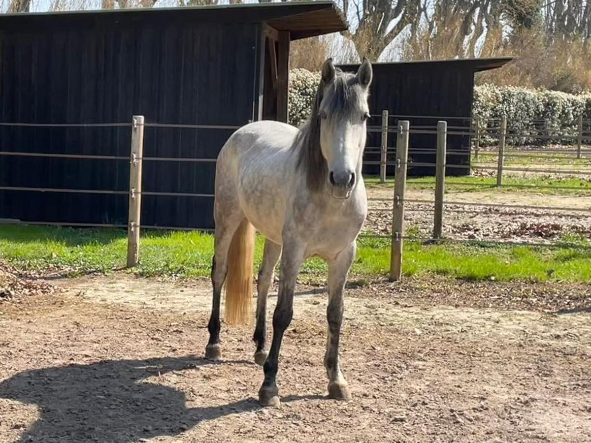 Bastidette Florestane Saint-Rémy-de-Provence Екстериор снимка